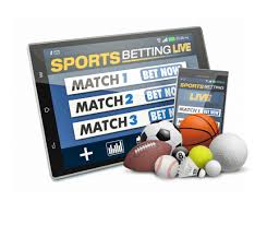Your Ultimate Guide to Betwinner